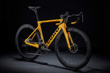 COBRA EVO DB SPORT ULTRA 2024 105 Di2 - Team Gold <br> > Dostupno na webshopu